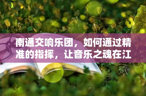 南通交响乐团，如何通过精准的指挥，让音乐之魂在江海间流淌？