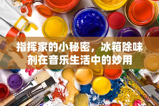 指挥家的小秘密，冰箱除味剂在音乐生活中的妙用