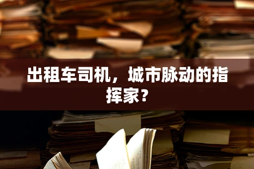 出租车司机，城市脉动的指挥家？