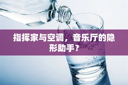 指挥家与空调，音乐厅的隐形助手？