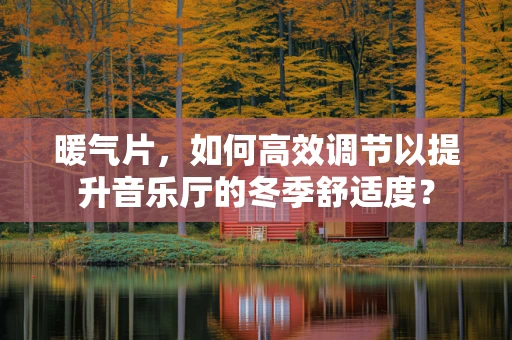 暖气片，如何高效调节以提升音乐厅的冬季舒适度？