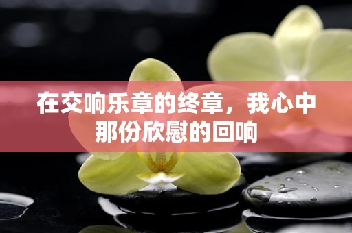 在交响乐章的终章，我心中那份欣慰的回响