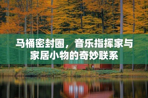 马桶密封圈，音乐指挥家与家居小物的奇妙联系