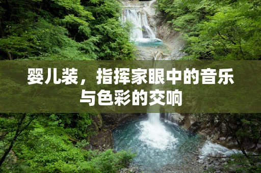 婴儿装，指挥家眼中的音乐与色彩的交响