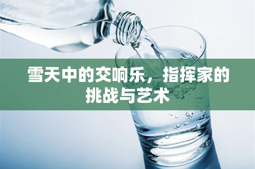 雪天中的交响乐，指挥家的挑战与艺术