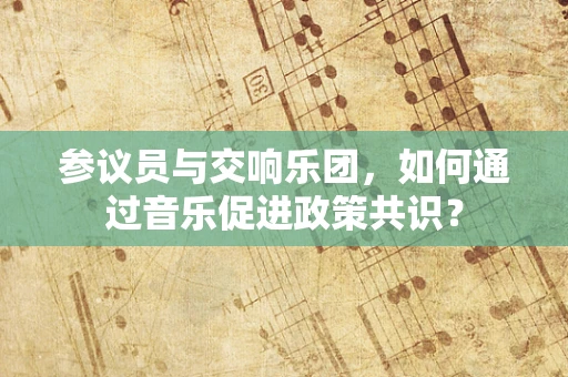参议员与交响乐团，如何通过音乐促进政策共识？
