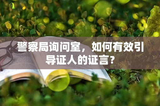 警察局询问室，如何有效引导证人的证言？