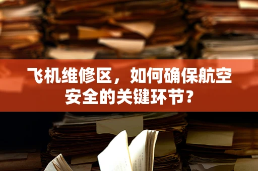 飞机维修区，如何确保航空安全的关键环节？
