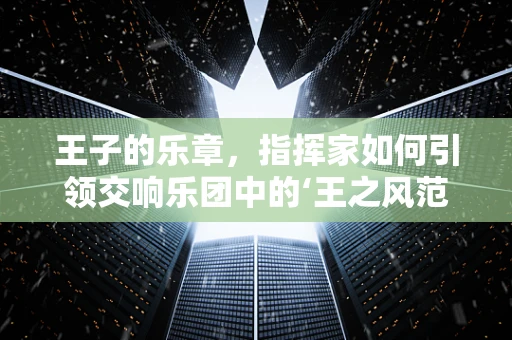 王子的乐章，指挥家如何引领交响乐团中的‘王之风范’？