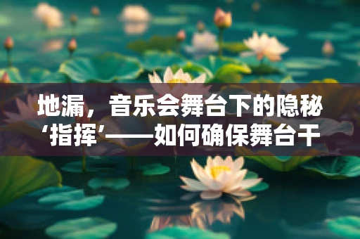 地漏，音乐会舞台下的隐秘‘指挥’——如何确保舞台干燥与安全？