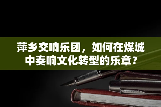 萍乡交响乐团，如何在煤城中奏响文化转型的乐章？