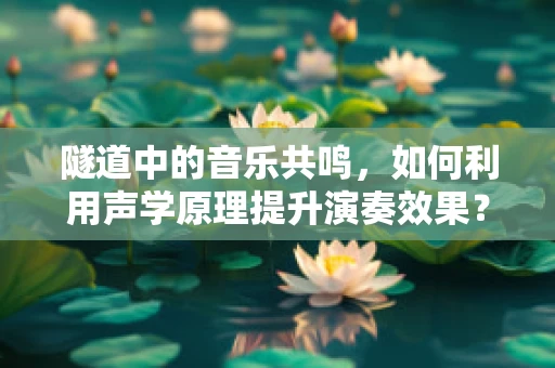 隧道中的音乐共鸣，如何利用声学原理提升演奏效果？