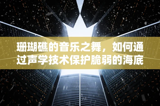 珊瑚礁的音乐之舞，如何通过声学技术保护脆弱的海底乐章？