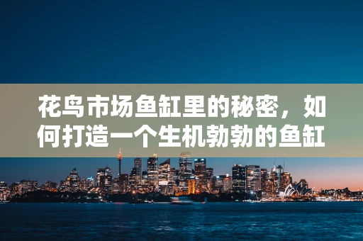 花鸟市场鱼缸里的秘密，如何打造一个生机勃勃的鱼缸生态？