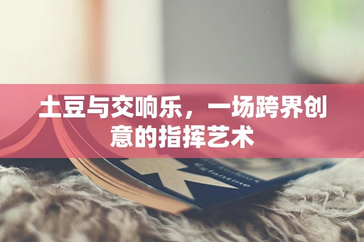 土豆与交响乐，一场跨界创意的指挥艺术