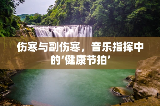伤寒与副伤寒，音乐指挥中的‘健康节拍’