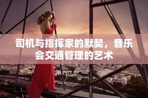 司机与指挥家的默契，音乐会交通管理的艺术