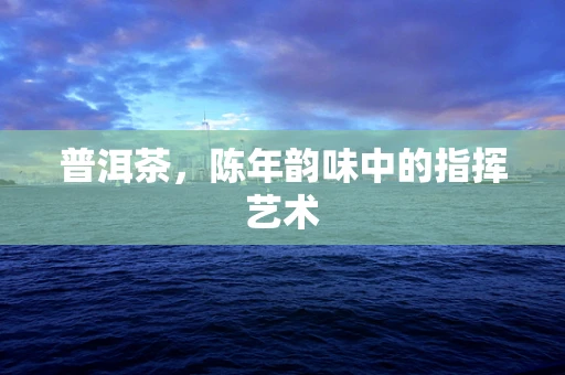 普洱茶，陈年韵味中的指挥艺术
