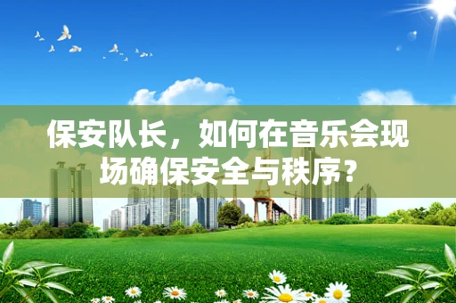 保安队长，如何在音乐会现场确保安全与秩序？