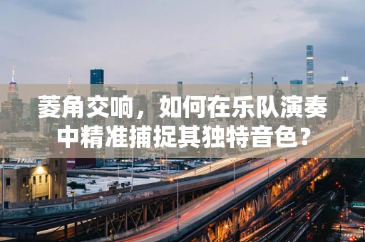 菱角交响，如何在乐队演奏中精准捕捉其独特音色？