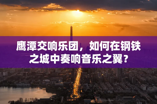 鹰潭交响乐团，如何在钢铁之城中奏响音乐之翼？
