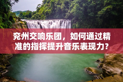 兖州交响乐团，如何通过精准的指挥提升音乐表现力？