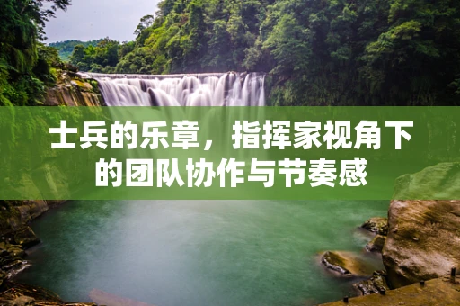 士兵的乐章，指挥家视角下的团队协作与节奏感