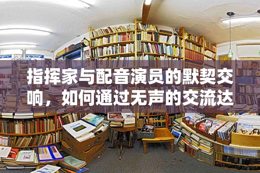 指挥家与配音演员的默契交响，如何通过无声的交流达成完美合作？