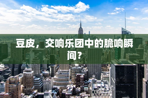豆皮，交响乐团中的脆响瞬间？