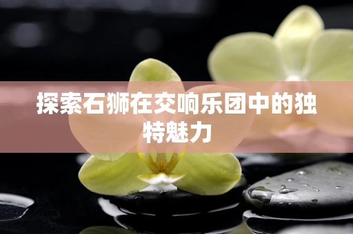 探索石狮在交响乐团中的独特魅力