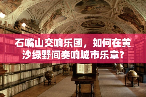 石嘴山交响乐团，如何在黄沙绿野间奏响城市乐章？
