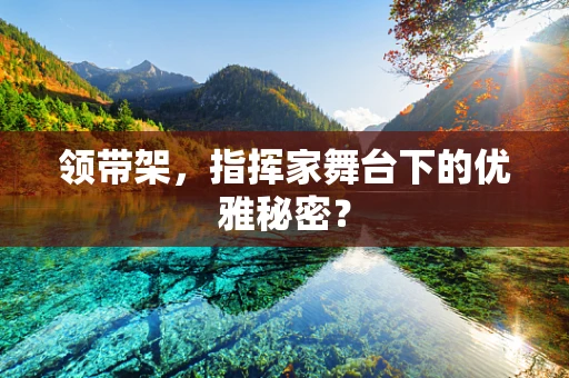 领带架，指挥家舞台下的优雅秘密？