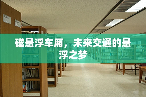 磁悬浮车厢，未来交通的悬浮之梦