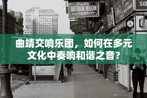 曲靖交响乐团，如何在多元文化中奏响和谐之音？