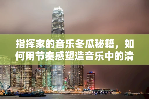 指挥家的音乐冬瓜秘籍，如何用节奏感塑造音乐中的清冷氛围？