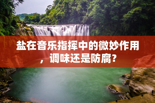 盐在音乐指挥中的微妙作用，调味还是防腐？