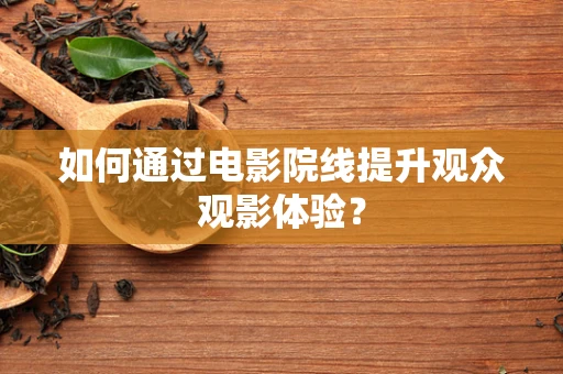 如何通过电影院线提升观众观影体验？