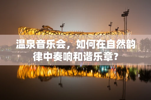 温泉音乐会，如何在自然韵律中奏响和谐乐章？
