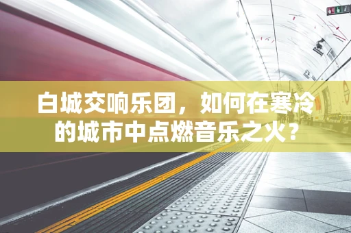 白城交响乐团，如何在寒冷的城市中点燃音乐之火？