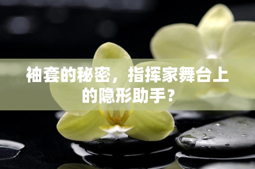 袖套的秘密，指挥家舞台上的隐形助手？