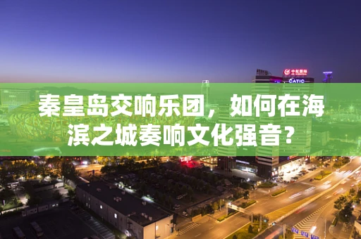 秦皇岛交响乐团，如何在海滨之城奏响文化强音？