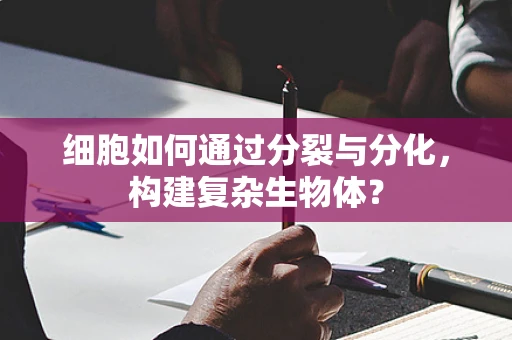 细胞如何通过分裂与分化，构建复杂生物体？