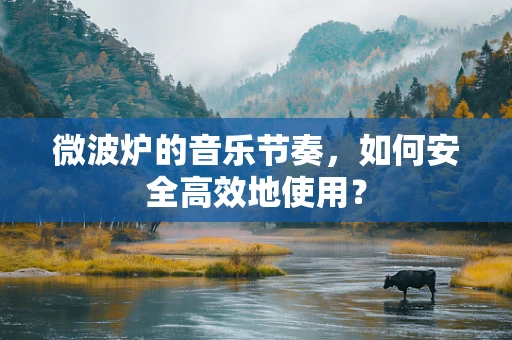 微波炉的音乐节奏，如何安全高效地使用？