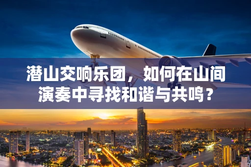 潜山交响乐团，如何在山间演奏中寻找和谐与共鸣？