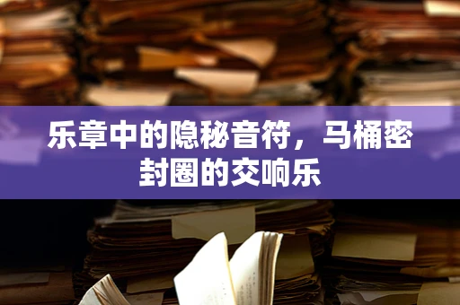 乐章中的隐秘音符，马桶密封圈的交响乐