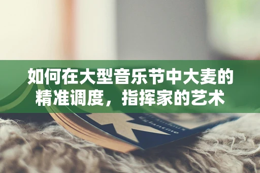 如何在大型音乐节中大麦的精准调度，指挥家的艺术