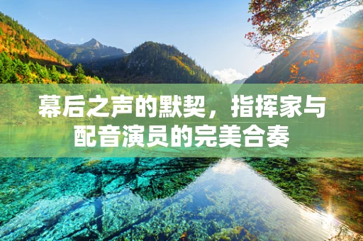 幕后之声的默契，指挥家与配音演员的完美合奏