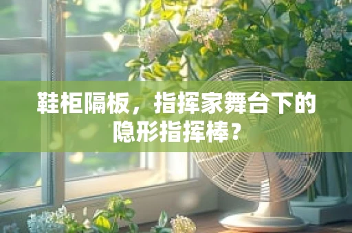 鞋柜隔板，指挥家舞台下的隐形指挥棒？