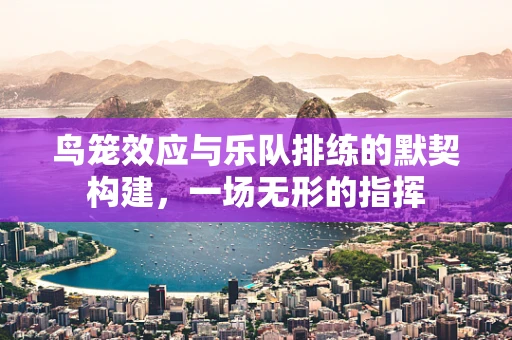 鸟笼效应与乐队排练的默契构建，一场无形的指挥