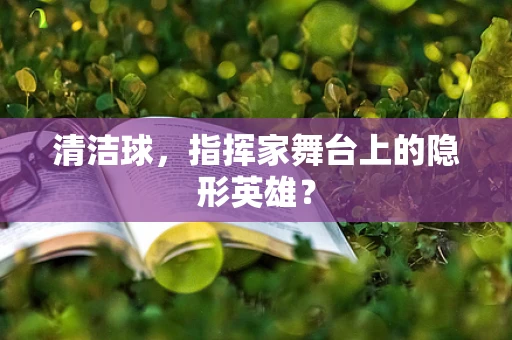 清洁球，指挥家舞台上的隐形英雄？